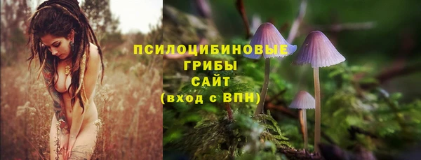 тгк Абаза