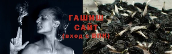 тгк Абаза