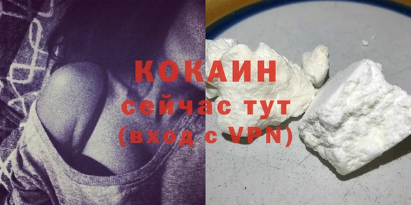 тгк Абаза