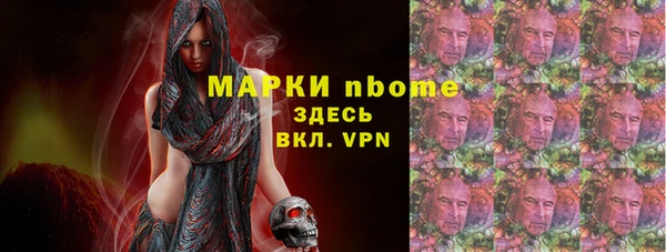 тгк Абаза