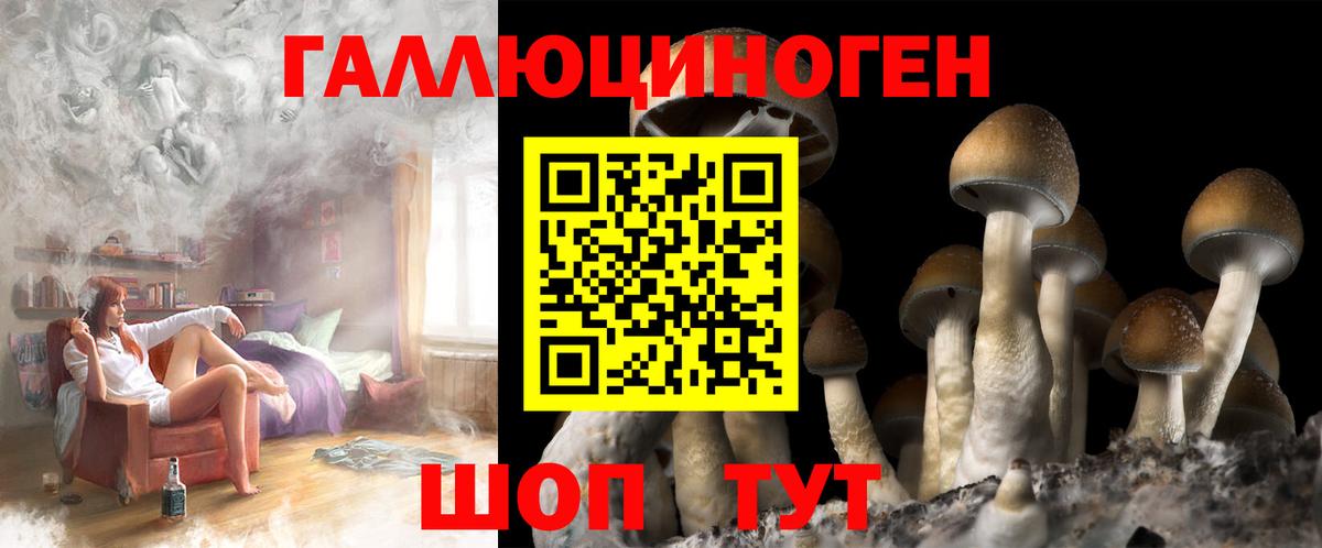 Псилоцибиновые грибы Psilocybine cubensis  Вход с VPN  Тихорецк 