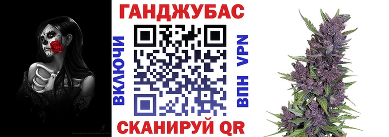 Бошки Шишки планчик  Тихорецк 